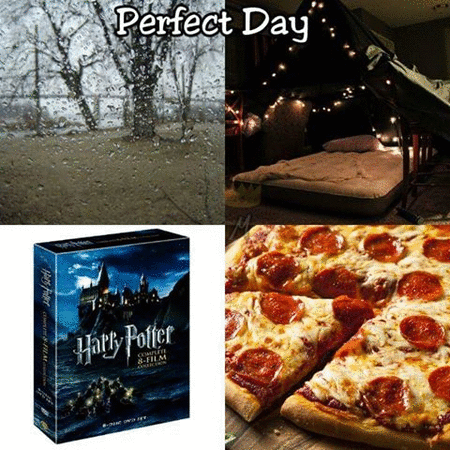 perfect day.gif