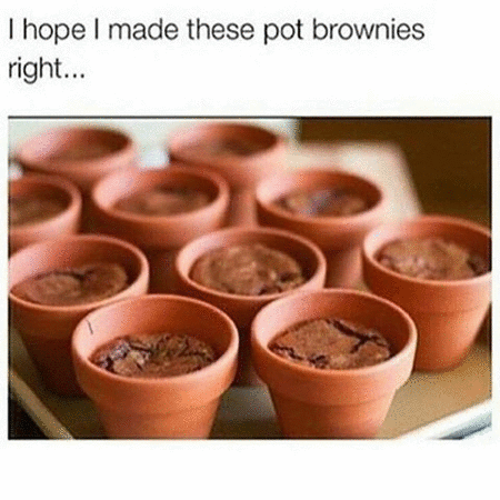 Pot Brownies_ezgif-3279168208.gif