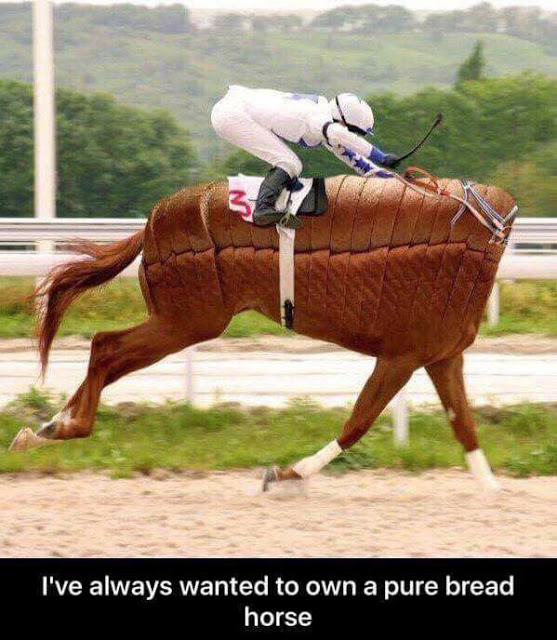 Pure-Bread-Horse.jpg