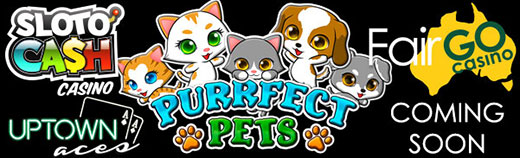 purrfect.jpg