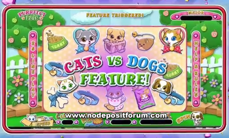Purrfect Pets slot ndf.jpg