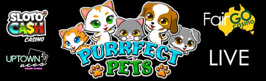 purrfectlive.jpg