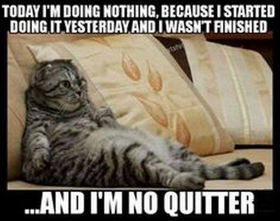 quitter.jpg