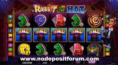 Rabbit In The Hat slot NDF.jpg