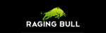 raging bull.jpg