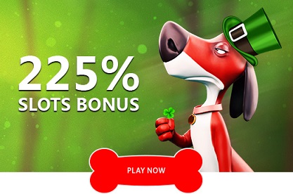 Red Dog.jpg