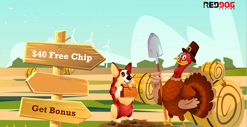 red dog tgiving no deposit forum.png