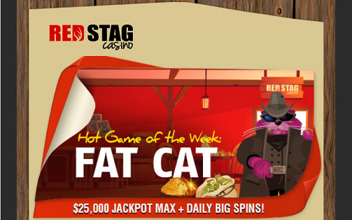 red stag casino fat cat no deposit forum.png