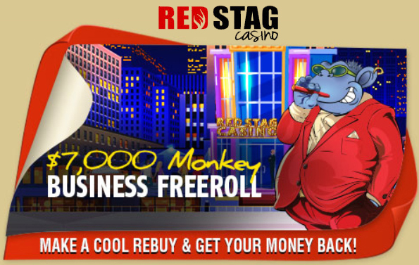 red stag casino no deposit forum.jpg