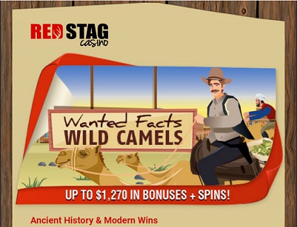 red stag casino wild camels no deposit forum.jpg