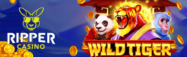 ripper casino no deposit forum.jpg