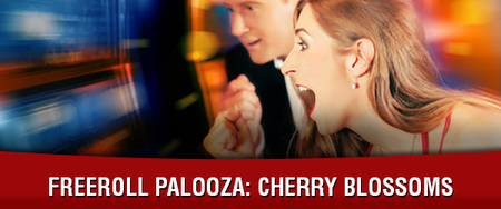 RS CHERRY BLOSSOM FR PALOOZA.jpg