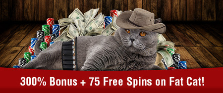 RS FAT CAT COWBOY_ezgif-1499286962.jpg