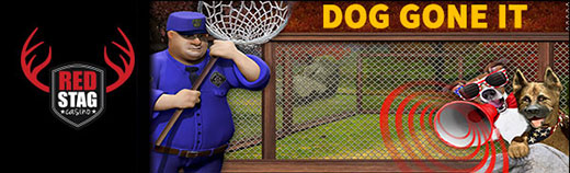 rsdoggoneit.jpg