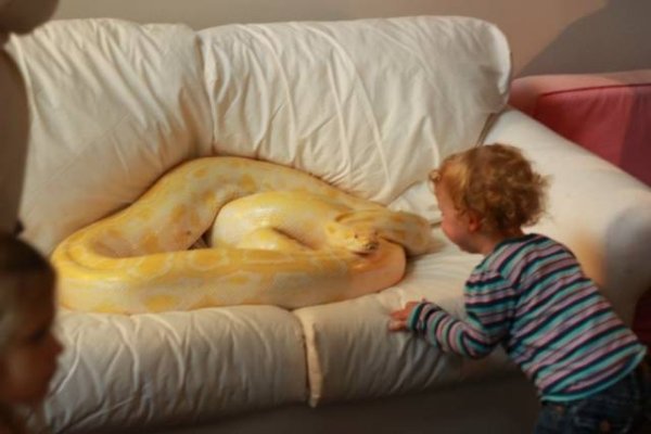 scary-creepy-nopes-nope-WTF-14.jpg