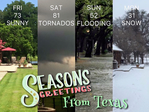 Seasons greeting from texas_ezgif-1286363101.gif
