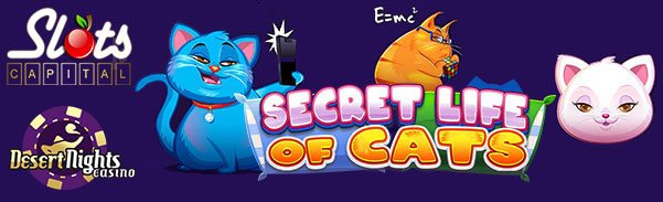 secret life of cats slot no deposit forum.jpg