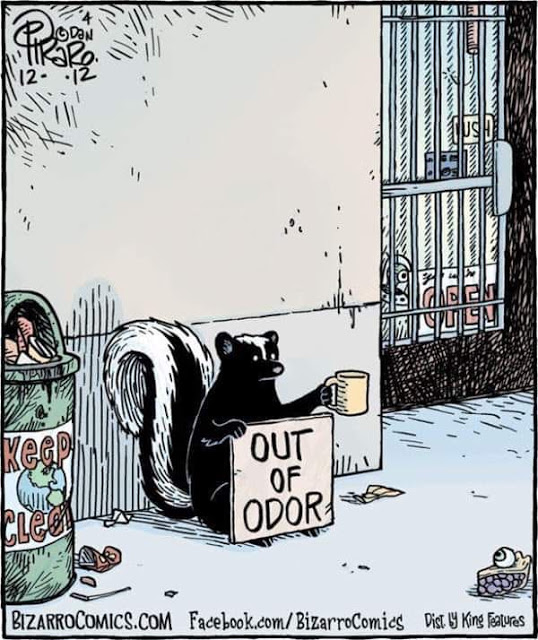 Skunk-Begger.jpg