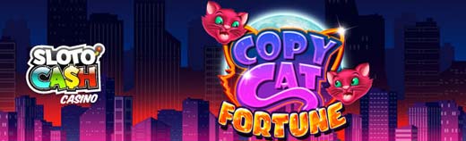 slotocash no deposit forum.jpg