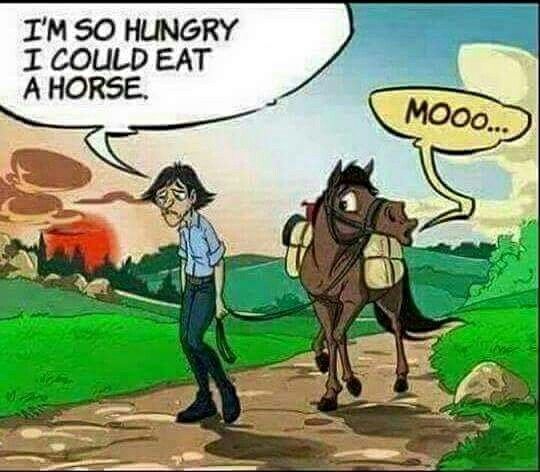 So-Hungry.jpg