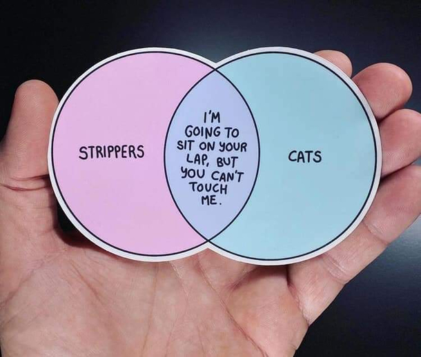 sometimes-the-truth-hurts-411519.jpg