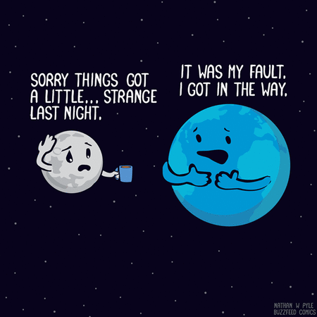 SORRY ABOUT LAST NIGHT - MOON.gif