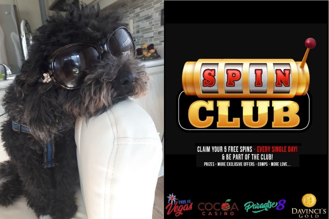 spin club no deposit forum.jpg