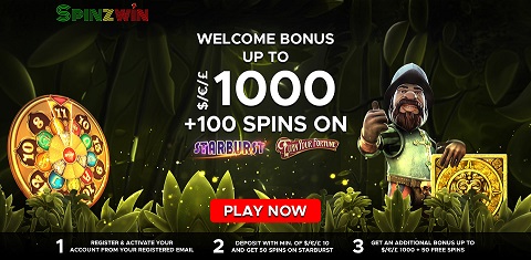 spinzwin no deposit forum.jpg
