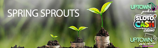 springsprouts.jpg