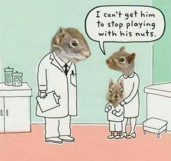 Squirrel-Nuts.jpg