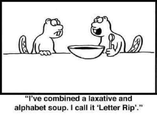 Squirrel-Soup.jpg