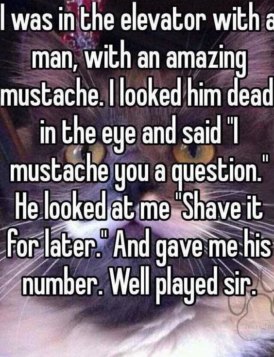 stache.jpg