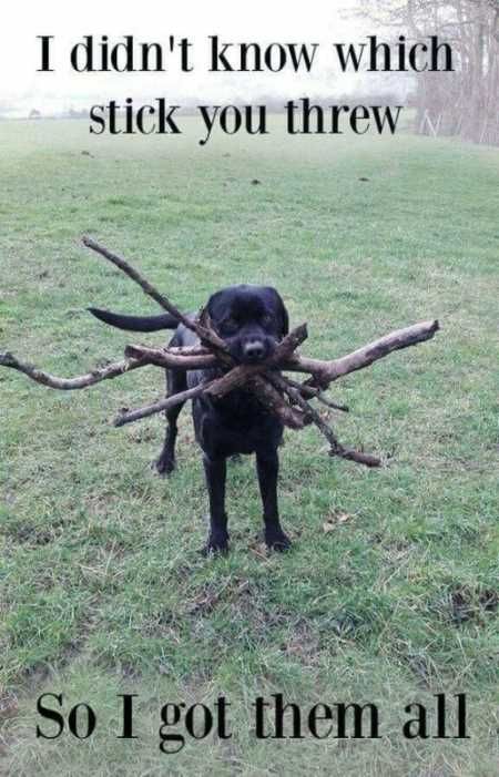 stick.jpg