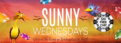 sunny-wednesdays-970x350_USD.jpg