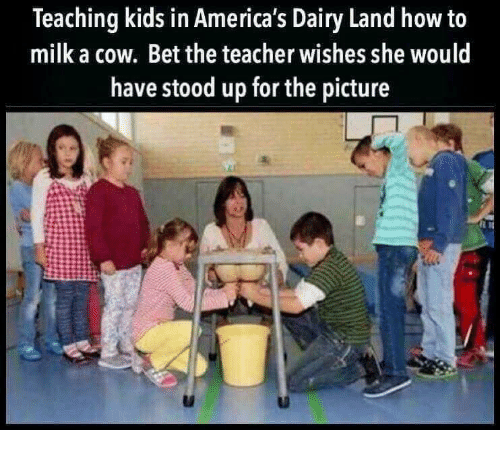 teaching-kids-in-americas-dairy-land-how-to-milk-a-28403555.png