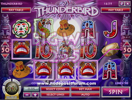 Thunderbird slot ndf.jpg