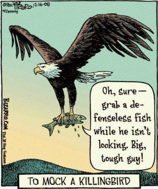 to mock a killingbird.jpg