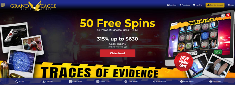 Trace of Evidence.png