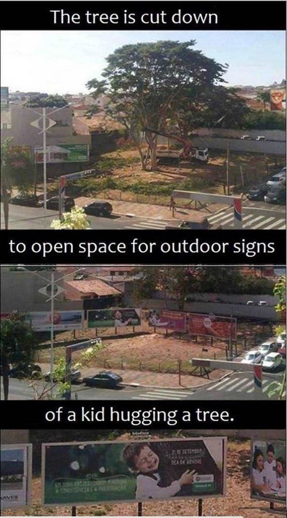 tree.jpg
