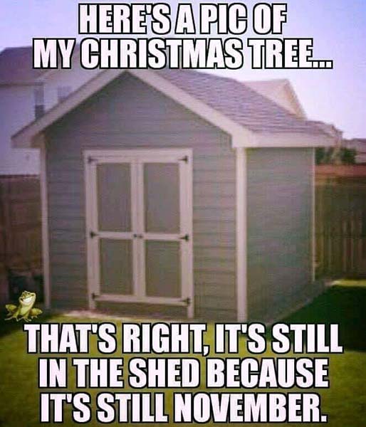 tree.jpg