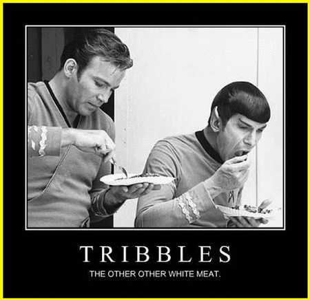tribbles.gif