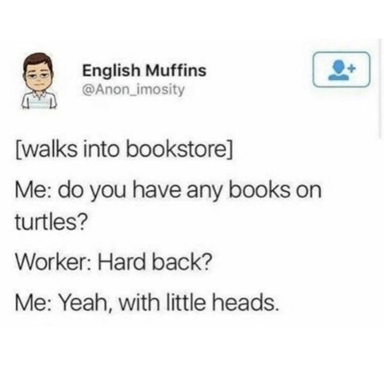 turtle.jpg