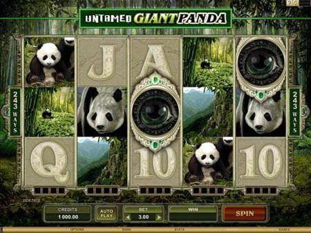 Untamed - Giant Panda Slot.jpg