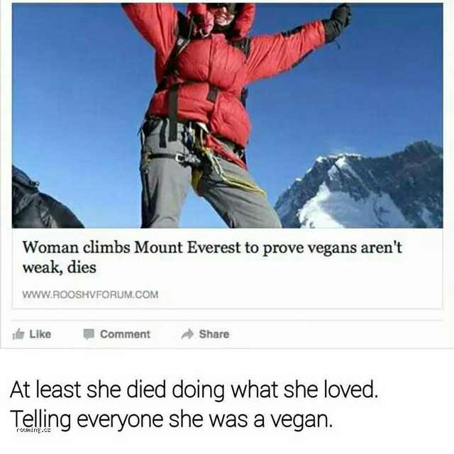 vegan.jpg