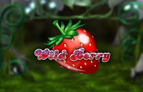 WB5.png