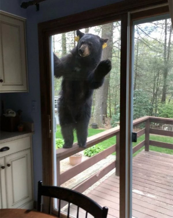 well-thats-mildly-terrifying-35-photos-2.jpg