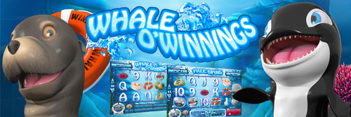 whale of winnings rival_ezgif-1769873627.jpg