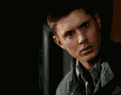 what.gif