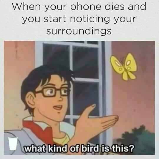 What kind of bird.jpg