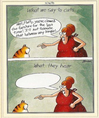 What-They-Hear.jpg
